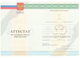 Аттестат за 9 класс 2011-2012 в Тольятти