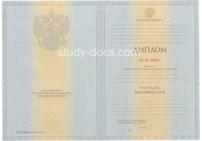 Диплом специалиста 2012-2013 в Тольятти